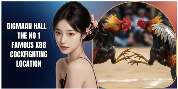 Digmaan Hall – The No 1 Famous X88 Cockfighting Location