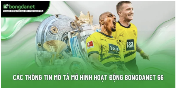 Bongdanet: A platform for watching live football and placing sports bets.