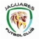 Jaguares