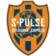 Shimizu S-pulse